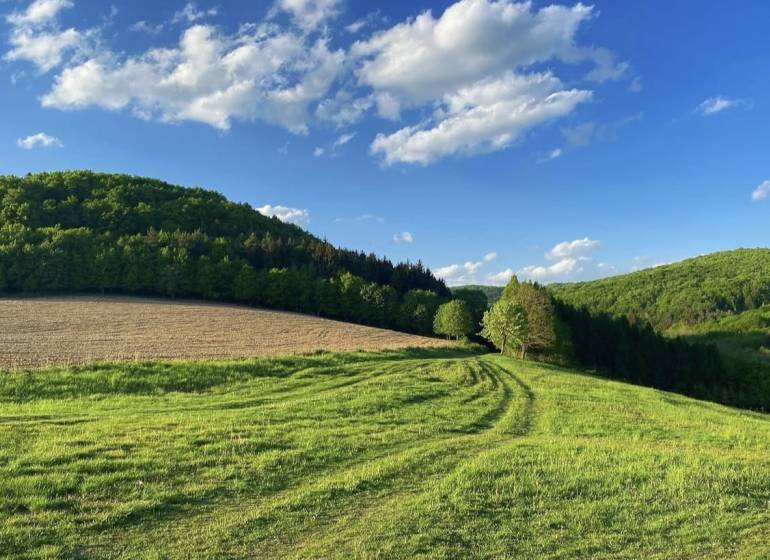 Schöne grüne landwirtschaftliche und forstwirtschaftliche Flächen in Dolné Kočkovce unter klarem blauen Himmel.