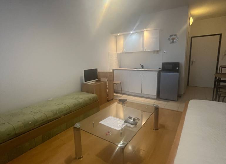 Einzimmerwohnung mit Sofa, Glastisch und Küchenzeile. Boden mit Holzdekor.