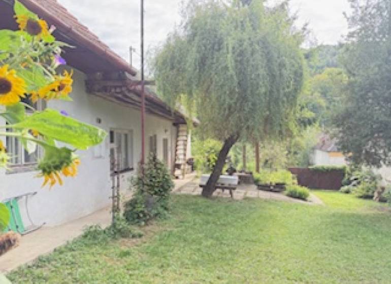 Ein Einfamilienhaus in Krivosúd-Bodovka mit einem gepflegten Garten und einer Bank unter dem Baum.