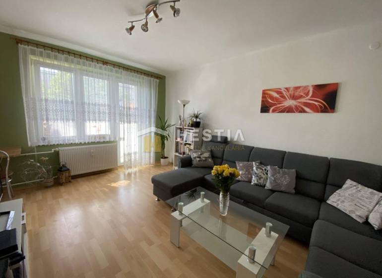 Wohnzimmer mit bequemer Couch, Glastisch und Holzboden in einer 2-Zimmer-Wohnung.