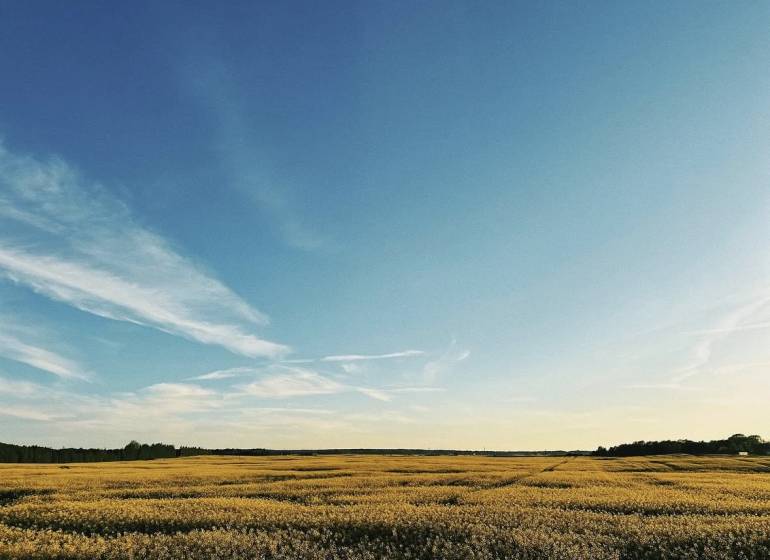Landwirtschaftliche und forstwirtschaftliche Grundstücke in Častá mit einer weitläufigen Wiese unter blauem Himmel.