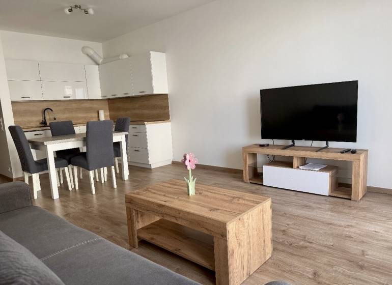 Wohnzimmer mit Küchenzeile, Esstisch und Fernseher in einer 2-Zimmer-Wohnung mit Holzboden.