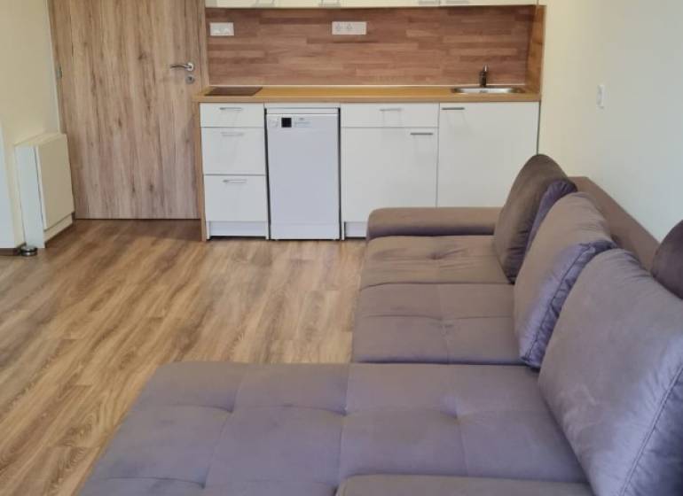 Einzimmerwohnung mit Küchenzeile, grauem Sofa und Boden in Holzoptik.