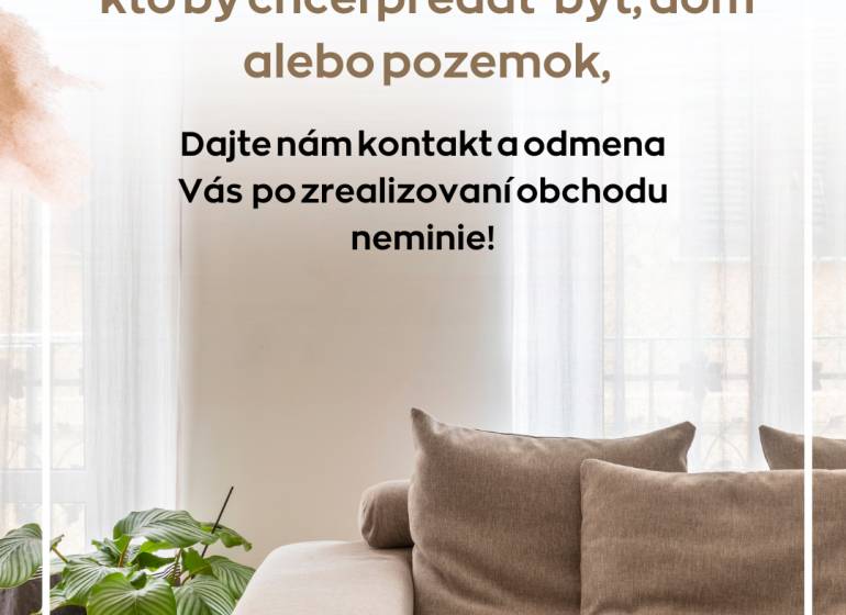 Helles Wohnzimmer mit bequemer Couch und Pflanze, 2-Zimmer-Wohnung mit Holzboden.
