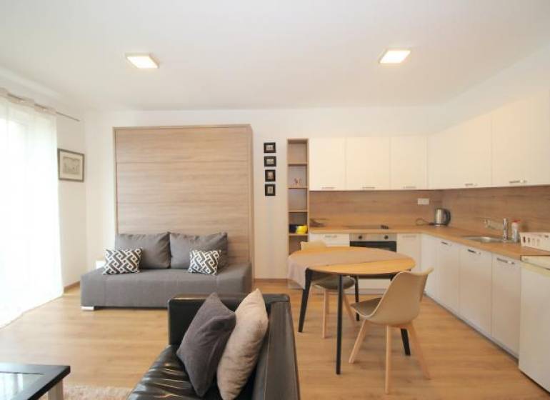 Wohnzimmer mit Küche in einer Einzimmerwohnung mit einem Boden in Holzoptik.