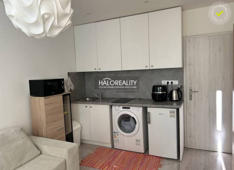Küche in einem Einzimmerapartment mit Spüle, Waschmaschine, Kühlschrank und Mikrowelle, heller Innenraum.