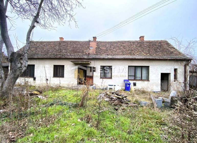 Ein altes Familienhaus erwartet eine Renovierung, im Garten gibt es wilde Vegetation und Unordnung.
