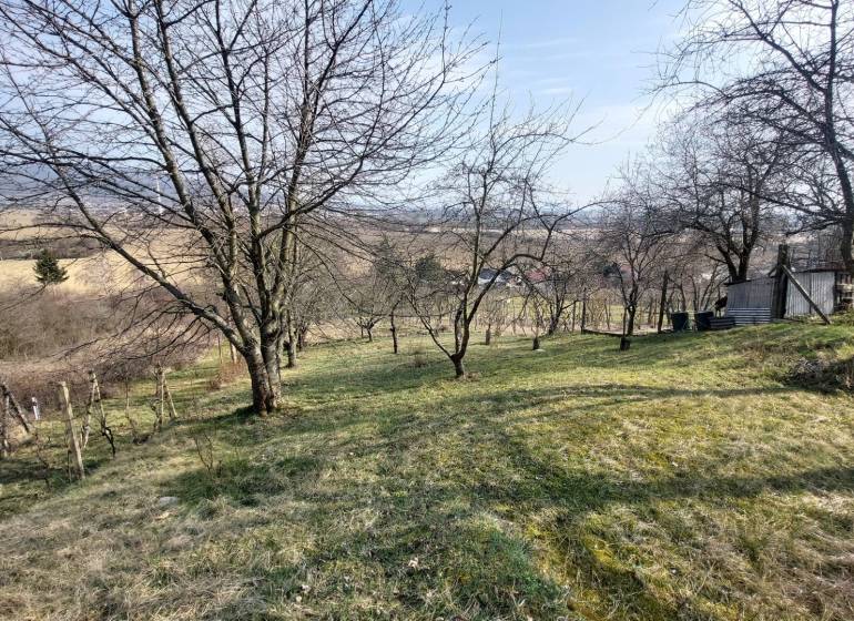 Weinberge in Zlaté Moravce mit Aussicht, Bäume und Rasenfläche.