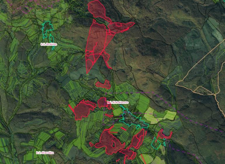 Luftaufnahme von landwirtschaftlichen und forstwirtschaftlichen Flächen in der Umgebung von Kobeliarovo.