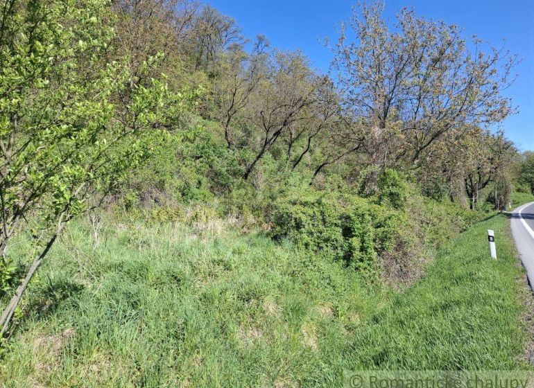 Natürliche Szenerie mit Grünflächen und einer Straße in Šiatorská Bukovinka. Grundstücke - Wohnen.