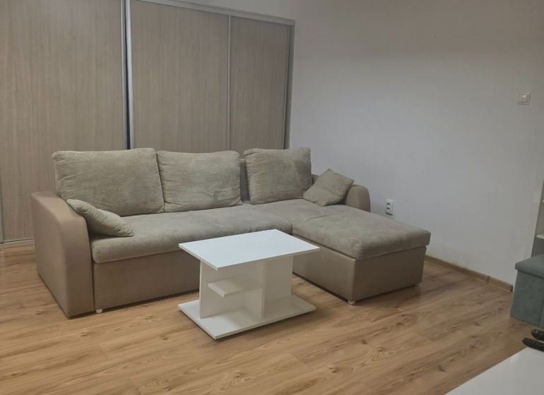 Einzimmerwohnung mit Ecksofa, Tisch und Boden in Holzoptik.