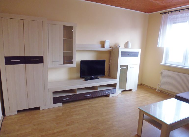 Wohnzimmer in einer 2-Zimmer-Wohnung mit Möbeln, TV und Bodenbelag in Holzoptik.