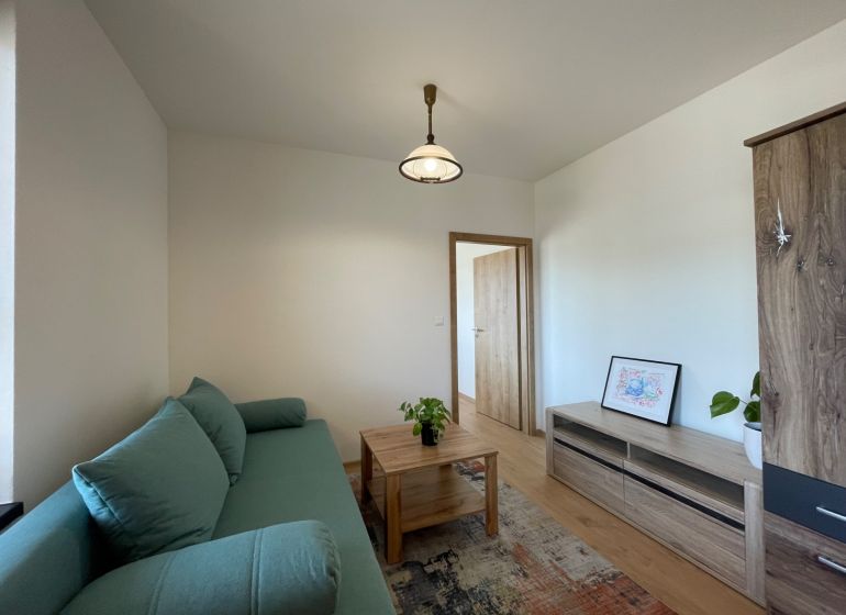 Wohnzimmer mit Holzboden, grünem Sofa und Holzmöbeln in einer Zweizimmerwohnung.