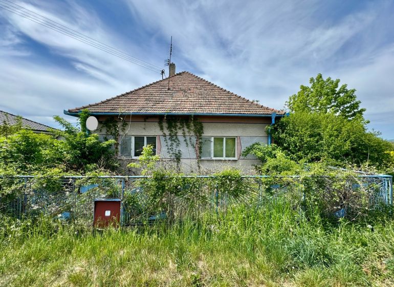 Ein Einfamilienhaus in Hajná Nová Ves mit einem bewachsenen Garten und einem schrägen Dach.