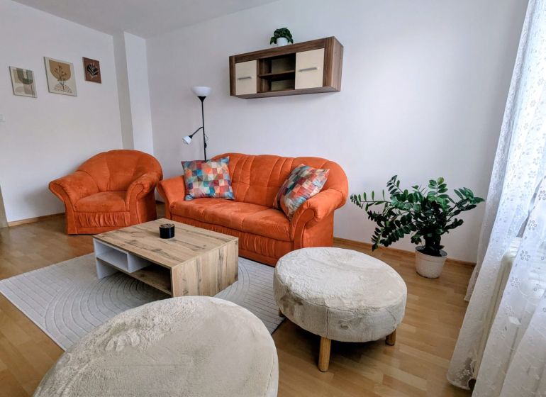 Wohnzimmer einer 2-Zimmer-Wohnung mit einem orangefarbenen Sofa, einer Pflanze und einem Boden in Holzoptik.