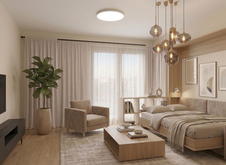 Einzimmerwohnung mit Sofa, Bett, Holzboden und Zimmerpflanze.