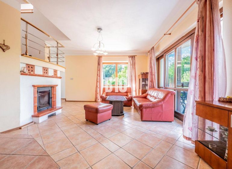 Wohnzimmer in einem Einfamilienhaus mit Kamin, rotem Sofa und Fenstern mit Aussicht.