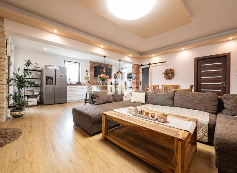 Wohnzimmer mit Küche in einem Einfamilienhaus, Sofa, Boden mit Holzdekor, Grünpflanzen.