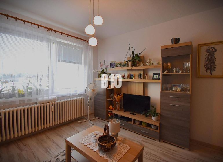 Wohnzimmer mit Möbeln und Dekorationen in einer Ferienwohnung, Boden mit Holzdekor.