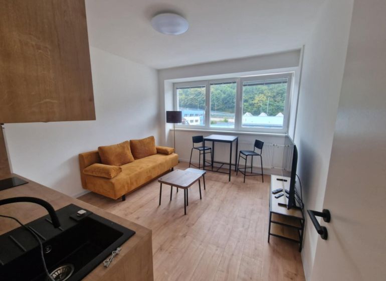 Wohnzimmer einer Zweizimmerwohnung mit Sofa, Esstisch und Boden in Holzoptik.