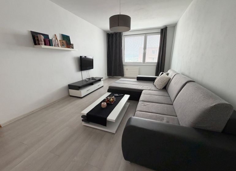 Wohnzimmer in einer Zweizimmerwohnung mit Holzboden und grauem Sofa.