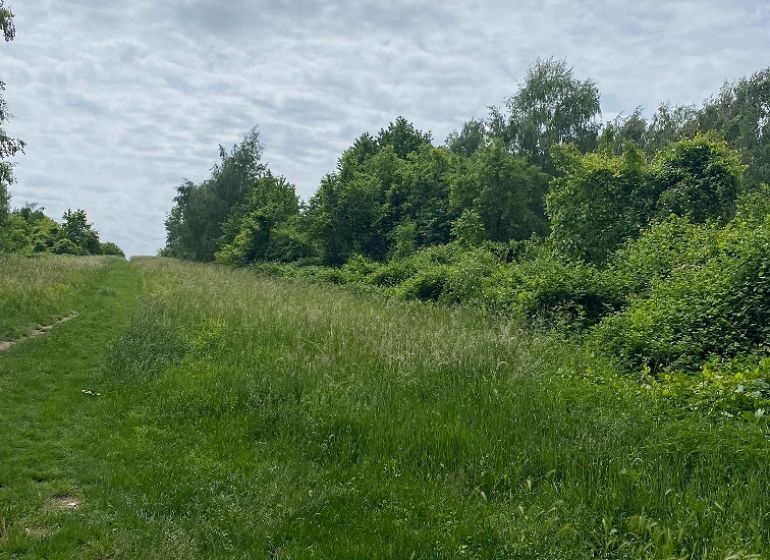 Grüne Grundstücke in der Rímska-Straße in Stupava, geeignet für Wohnzwecke.