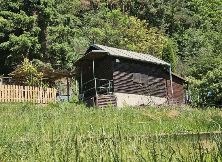 Eine Hütte in Budatín am Waldrand, umgeben von Grün und einem Holzzaun.