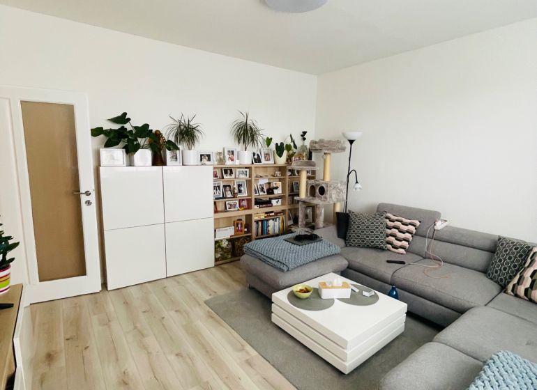 Wohnzimmer in einer 3-Zimmer-Wohnung mit Holzboden, grauem Sofa und Pflanzen.