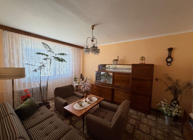 Wohnzimmer in einer Zweizimmerwohnung mit antiken Möbeln und grünen Pflanzen.