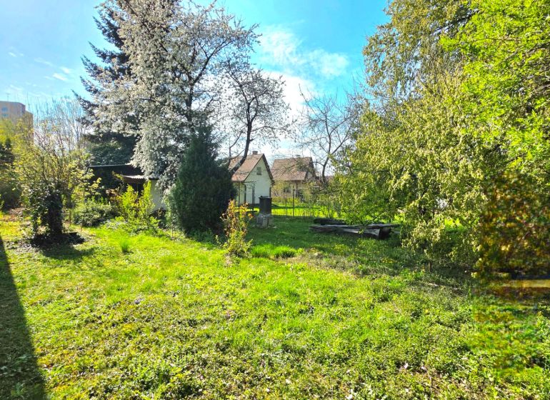 Gärten in der 1. Mai-Straße in Košice-Krásna mit Rasen und Obstbäumen.