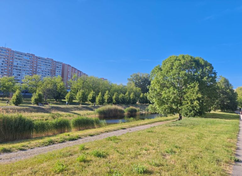 Wohnsiedlung mit Wohnhäusern, Grünflächen und Gehweg in Petržalka auf der Lachova.