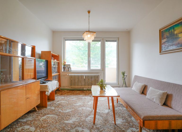 Wohnzimmer in einer 2-Zimmer-Wohnung mit Sofa, Vitrine und Fenster ins Grüne.