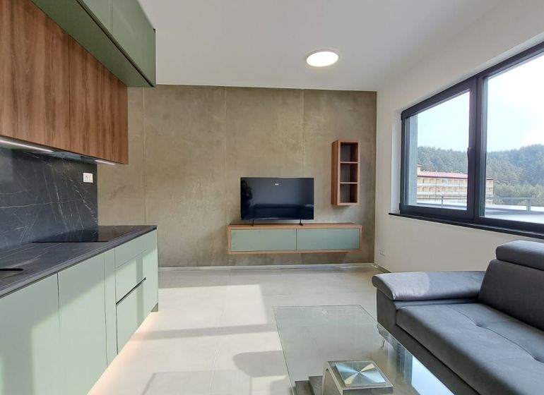 Wohnzimmer in einer 2-Zimmer-Wohnung mit Sofa, Küchenzeile und Fernseher an der Wand.