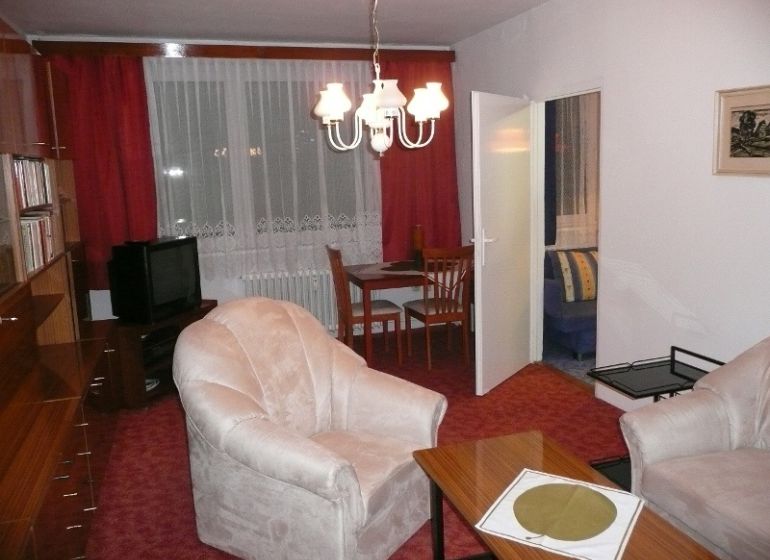 Wohnzimmer mit rotem Teppich, Sesseln und Holzschränken in einer 2-Zimmer-Wohnung.