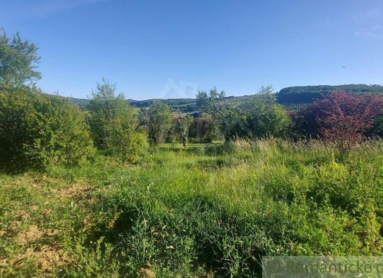 Grünflächen, Bäume und Rasenflächen in den Gärten von Podkylava mit Bergen im Hintergrund.