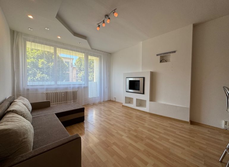Wohnzimmer in einer Zweizimmerwohnung mit Holzboden und Sofa.