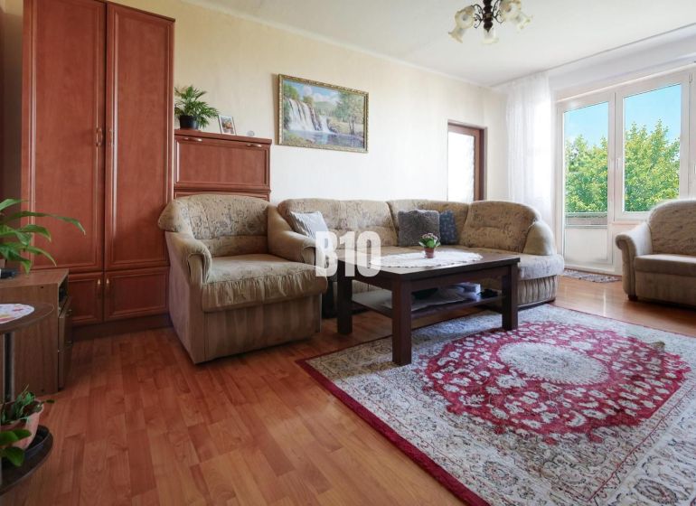 Wohnzimmer mit Sofa, Teppich und Holzboden in einer 2-Zimmer-Wohnung.