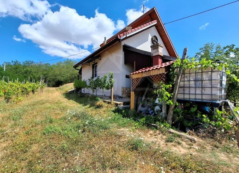 Ein Ferienhaus in Gbelce, umgeben von Grün und Weinbergen unter blauem Himmel.