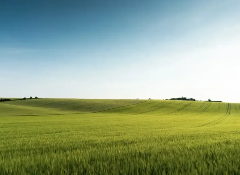 Grüne Felder und sanfte Hügel in den landwirtschaftlichen und forstwirtschaftlichen Gebieten bei Medzany.