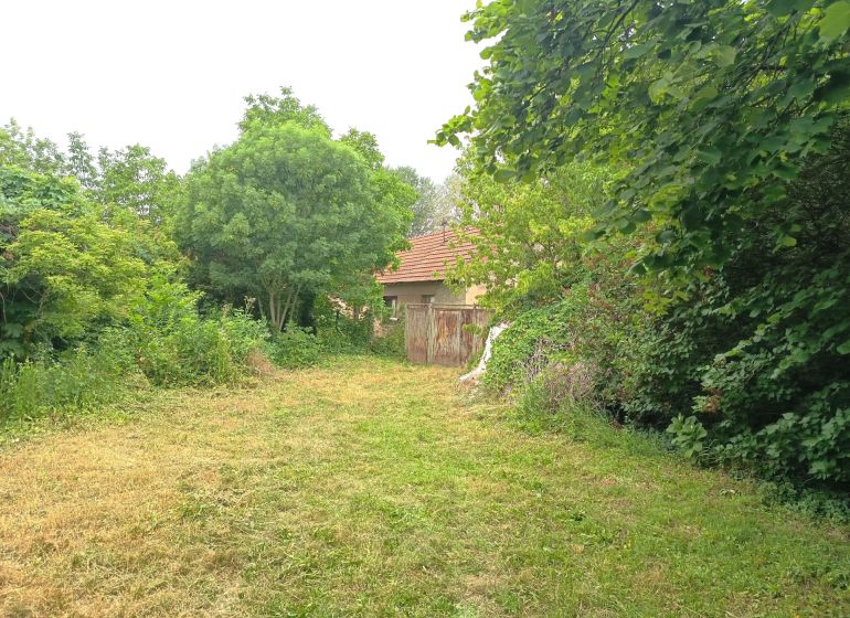 Garten bei einem Einfamilienhaus in Nové Zámky mit Rasen und reicher Vegetation.