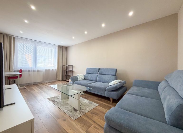 Wohnzimmer in einer 2-Zimmer-Wohnung mit einem blauen Sofa, einem Glastisch und einem Boden in Holzoptik.