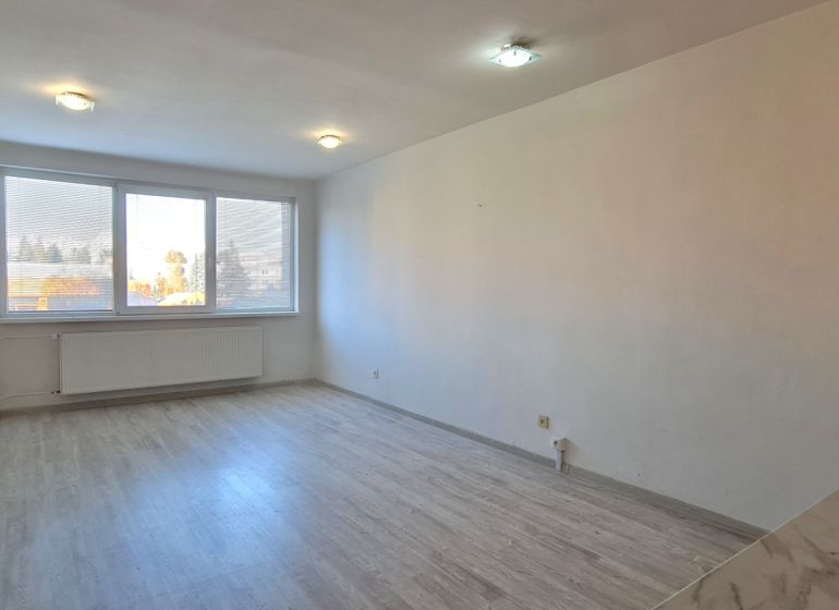 Helles Zimmer mit Holzboden in einer 2-Zimmer-Wohnung, großes Fenster.