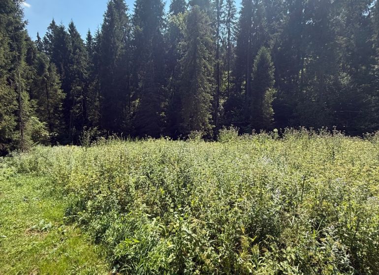 Erholungsgrundstücke in Litmanová, umgeben von grünen Wiesen und dichten Wäldern.