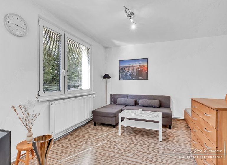 Wohnbereich einer Einzimmerwohnung mit Holzboden und Sofa.