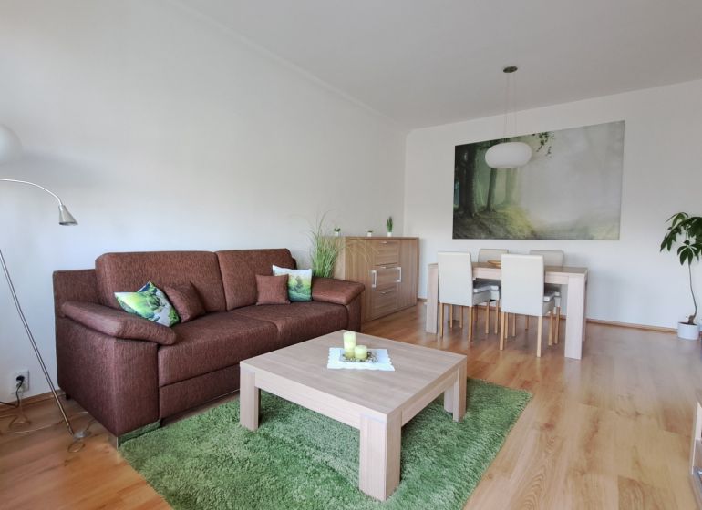 Wohnzimmer mit Sofa und Esstisch in einer 2-Zimmer-Wohnung, Boden mit Holzdekor.