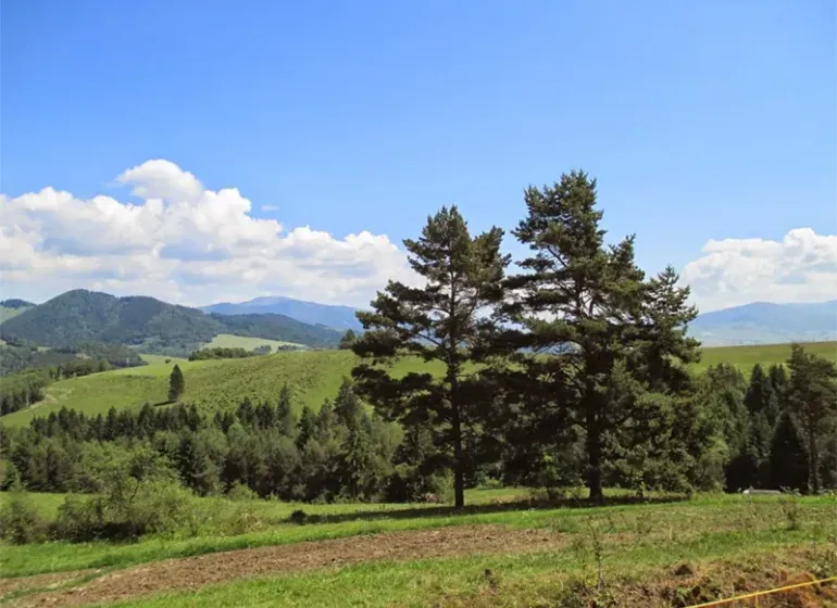 Schöne Landschaft von landwirtschaftlichen und forstwirtschaftlichen Flächen bei Valaská mit hügeliger Landschaft.