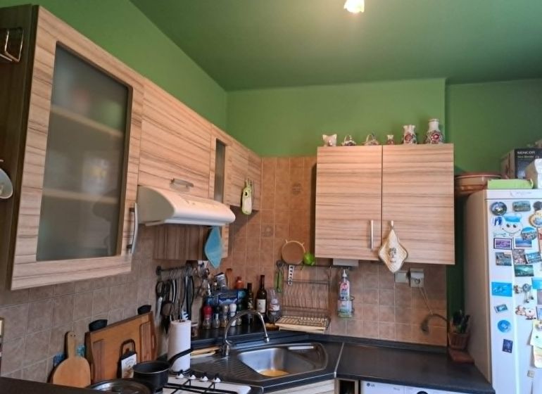 Küche in einer 2-Zimmer-Wohnung mit Holzschränken und grüner Wand.