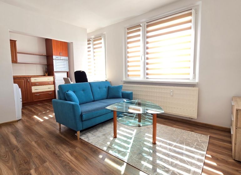 Helle 1-Zimmer-Wohnung mit blauem Sofa, Glastisch und Boden in Holzoptik.
