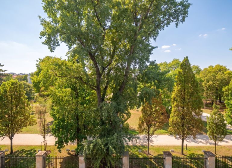 Bäume und ein Weg im Park, Aussicht aus einer 2-Zimmer-Wohnung in Bratislava - Altstadt auf die Banskobystrická.