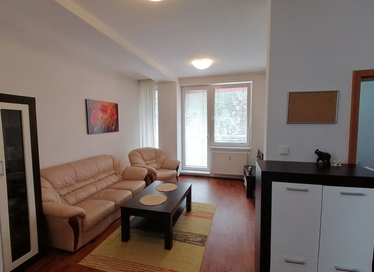 Wohnzimmer in einer 2-Zimmer-Wohnung mit Holzboden und Sofa.